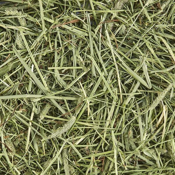 Kaytee    Timothy  Hay - Image 2